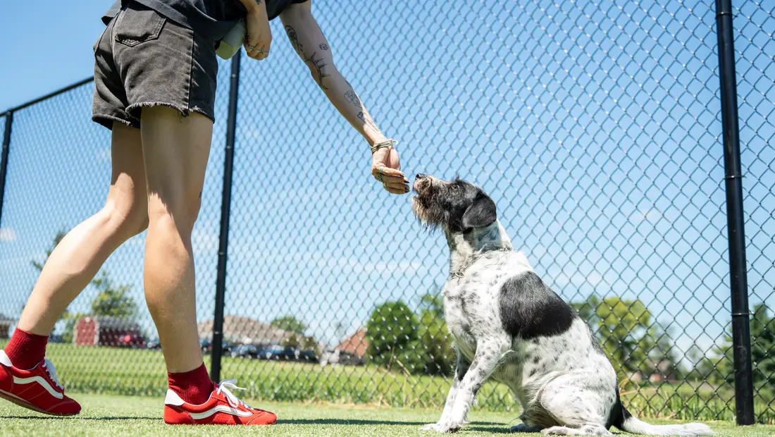 Training at Black Woof Inn