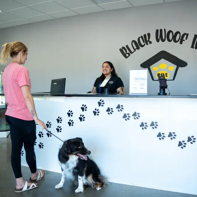 Trained dog at Black Woof Inn