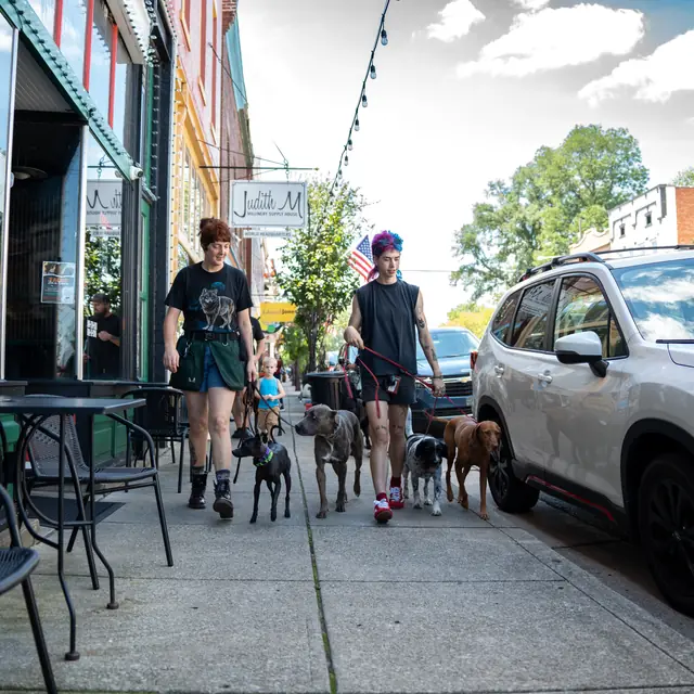 Trained dog at Black Woof Inn