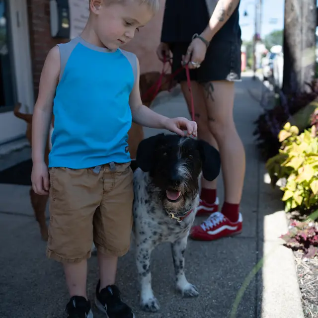 Trained dog at Black Woof Inn