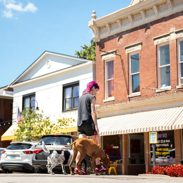 Trained dog at Black Woof Inn